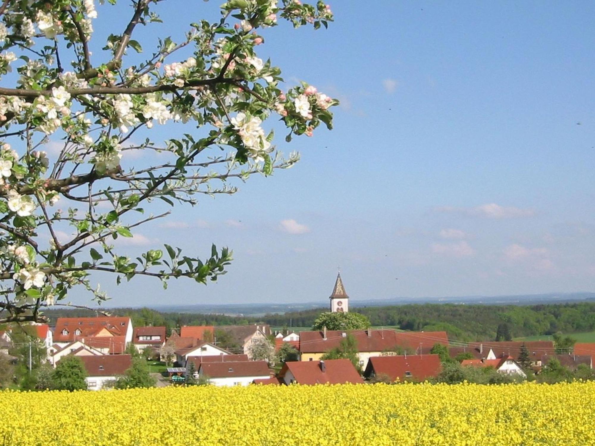 Kleine Auszeit Vila Thalheim  Exterior foto